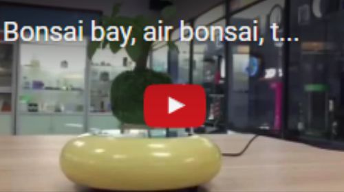 air bonsai bay sawa doanh nhân